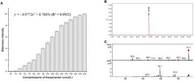 Bitterness quantification and simulated taste mechanism of theasinensin A from tea